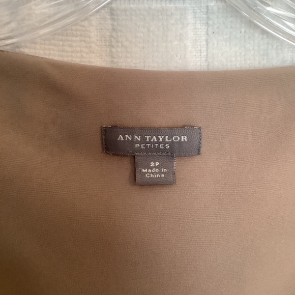 Anne Taylor 100% Silk Lined Sheer Sleeveless Blouse Mauve/ Tan/ Burgundy Size 2P - Picture 6 of 6